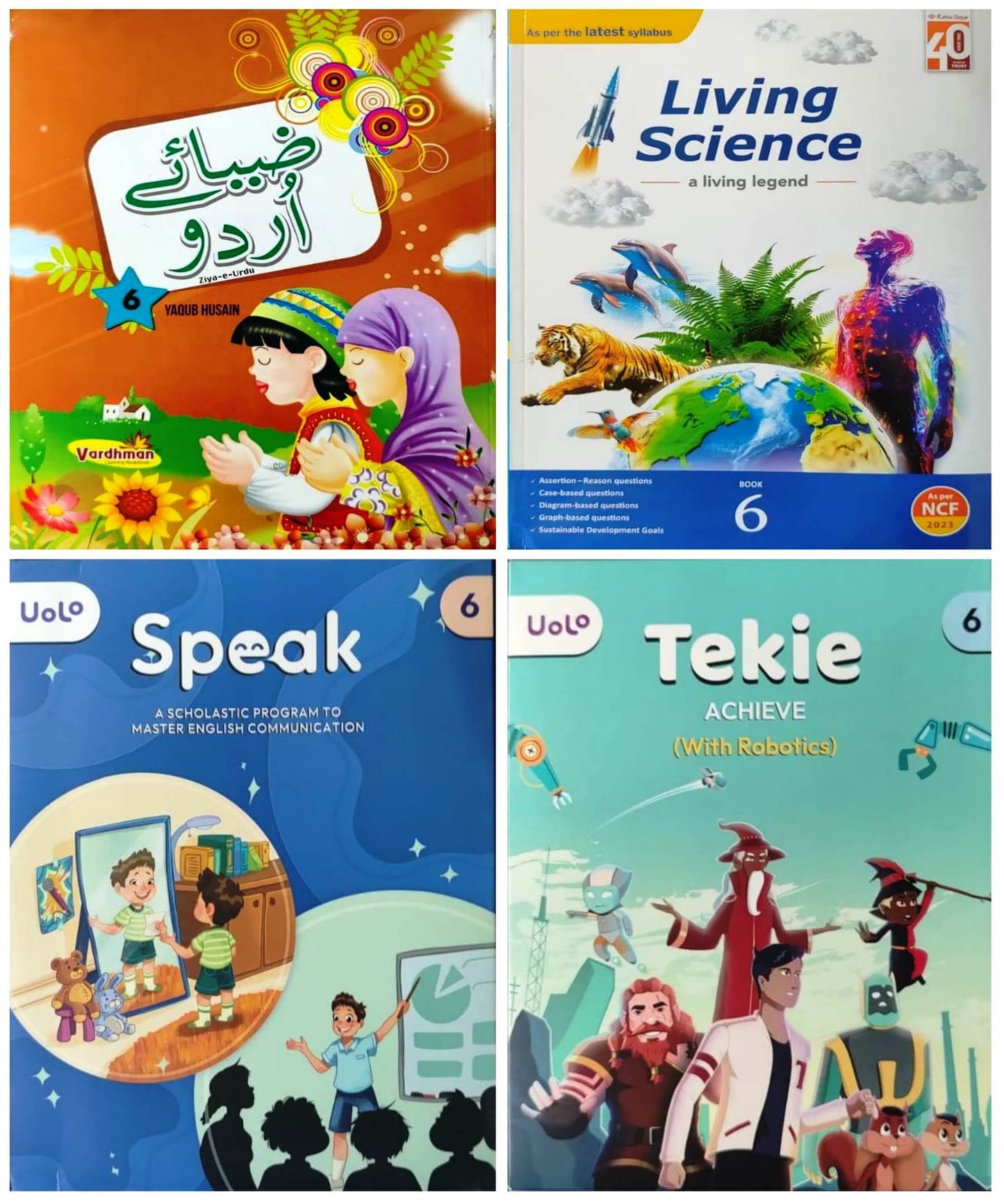 Class 6 Combined Book Set (All Subjects) With Urdu